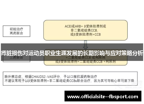 肾脏损伤对运动员职业生涯发展的长期影响与应对策略分析