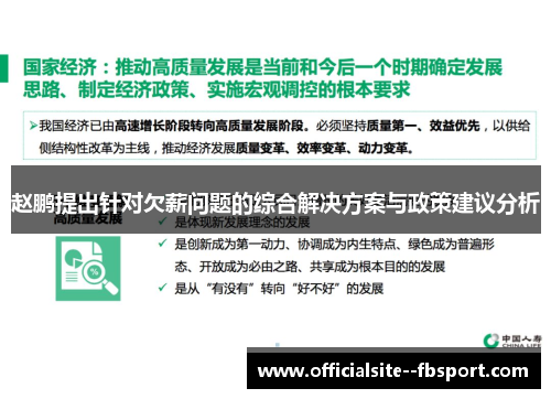 赵鹏提出针对欠薪问题的综合解决方案与政策建议分析