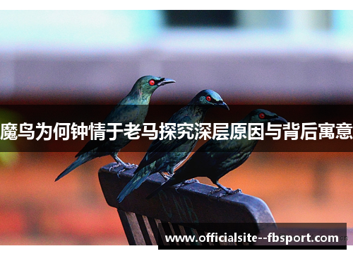 魔鸟为何钟情于老马探究深层原因与背后寓意