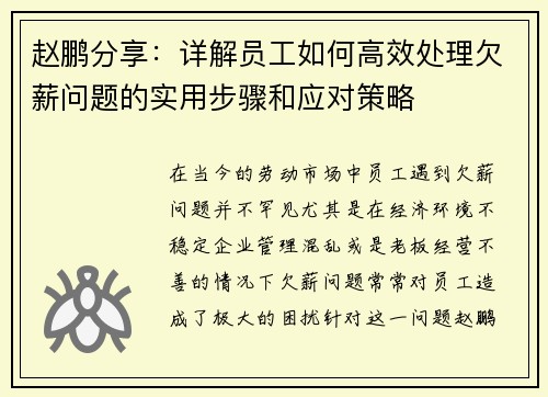 赵鹏分享：详解员工如何高效处理欠薪问题的实用步骤和应对策略